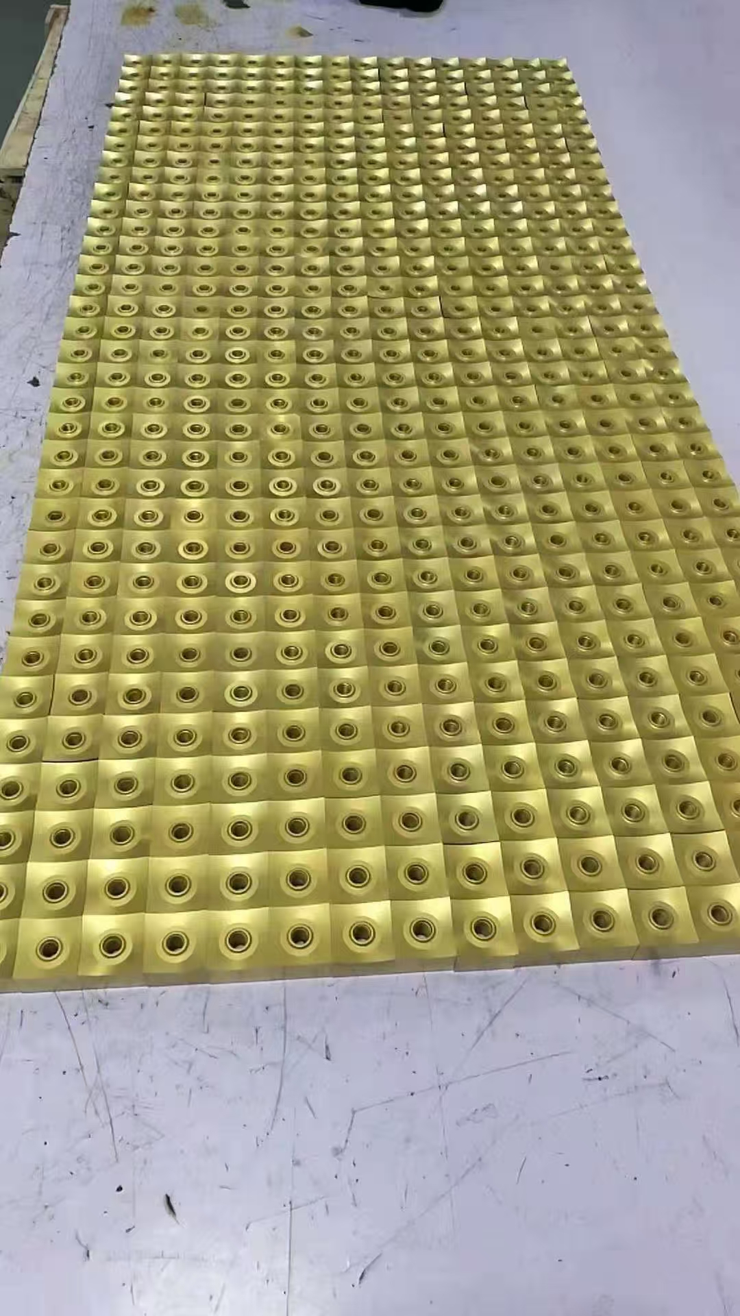 1742956255576669.jpg TIN (4).jpg